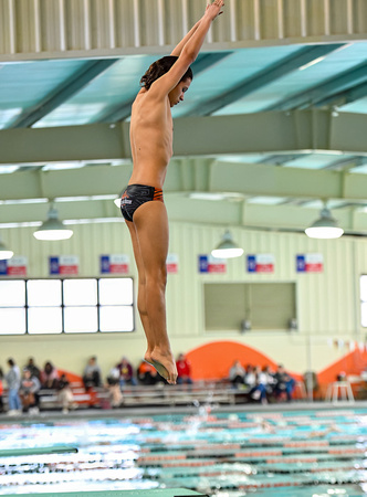 Swim Dive Champ (40)