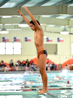 Swim Dive Champ (18)