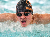 Swim Dive Champ (899)
