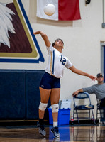Henderson v New Diana JV (4)