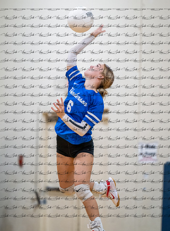 Henderson v New Diana JV (3)