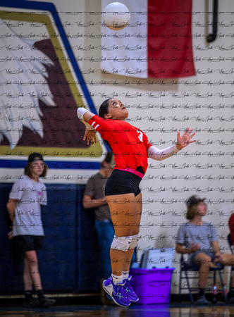 Henderson v New Diana JV (16)