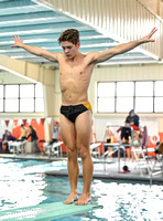 Swim Dive Champ (44)