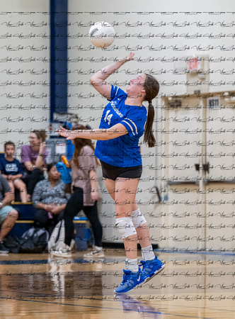 Henderson v New Diana JV (1)