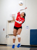 Henderson v New Diana JV (11)