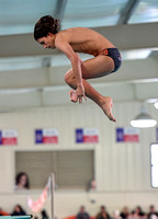 Swim Dive Champ (81)