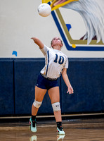 Henderson v New Diana JV (5)