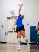 Henderson v New Diana JV (6)
