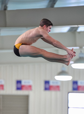 Swim Dive Champ (65)