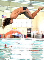 Swim Dive Champ (26)