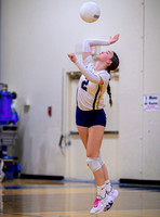 Henderson v New Diana JV (19)