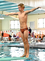 Swim Dive Champ (31)