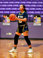 Hallsville v Pine Tree-11