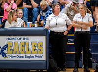 Henderson v New Diana JV (14)