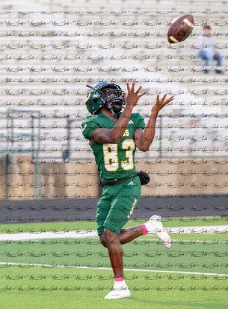 Tyler Legacy v Longview (11)